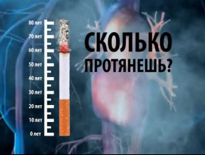 Сколько протянешь